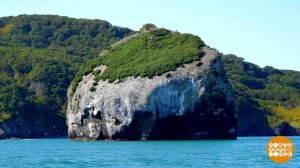 Камчатка. Клевое место! Доброе утро. Фрагмент выпуска от 08.10.2025