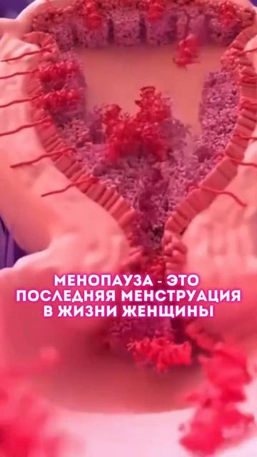 Миф или правда: менопауза - это болезнь? смотреть онлайн