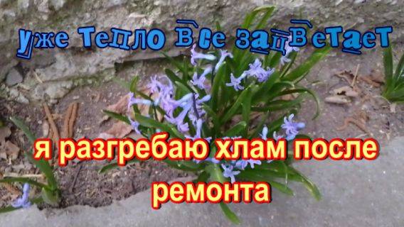 № 937 уже тепло все зацветает // разгребаю хлам после ремонта