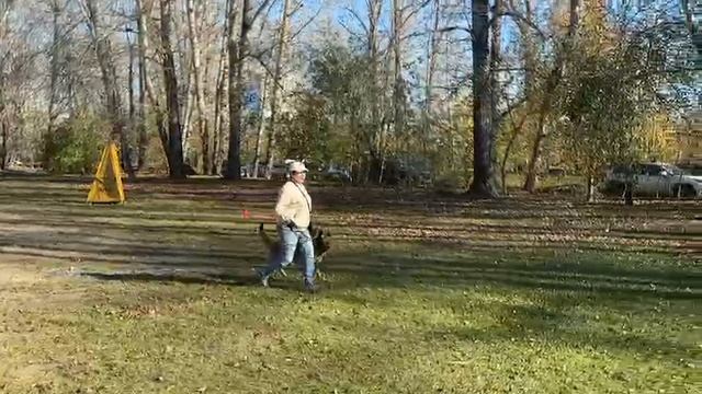 3.  выражено/перв ЗИГЕРИН ИЗ БЕРЕЗОВОГО ЛОГА (De Orse Mak Flai Zevs – Ямаха из Белого Яра)