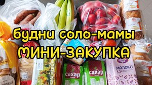08.10.25 МАЛЕНЬКАЯ ДОЗАКУПКА