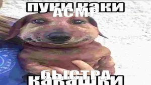 АСМР СКОЛЬКО-ТО ТАМ МИНУТ