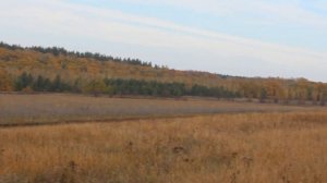 Итоговое видео по медовому сезону 2025 года. 7 октября, 2025 года.