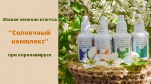 Отзыв по применению "Солнечного комплекса" при коронавирусе. Круглый стол в Zoom.