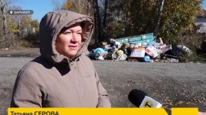 День с Толком 08.10.2025
