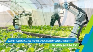 Новая эра развития АПК: как цифровизация и роботизация меняют сельское хозяйство?