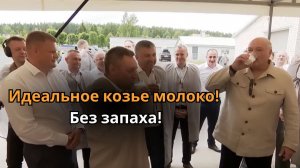 Лукашенко попробовал КОЗЬЕ МОЛОКО. Как оценил и причем здесь Путин?