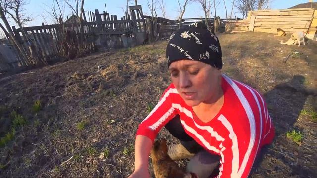 Жизнь в деревне. Салат из яиц огурцов и майонеза.