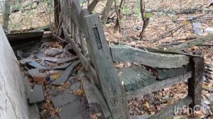 ЗАБРОШКА, ПОИСК ЧЕГОТО ДРЕВНЕГО