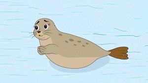 Нерпенок и его друзья