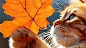 Коллаб с любимой, идея моя!