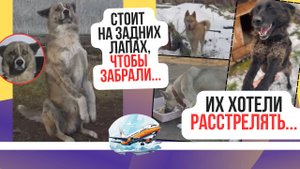 Спасти, чтоб выжить. Помогите сбежать и на самолёт...