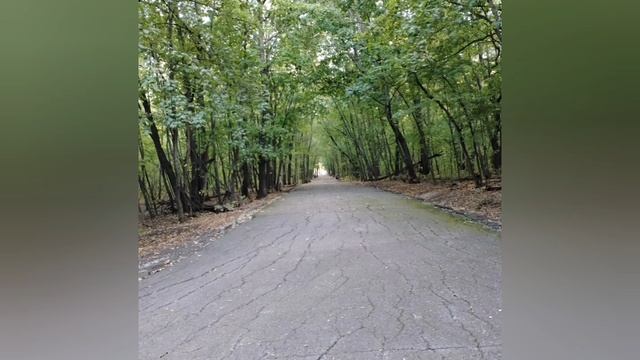 Лесопарк