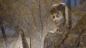 Осенние чувства. Стихи - Елена Минеева, видеомонтаж и генерация Е.  Доставалов.