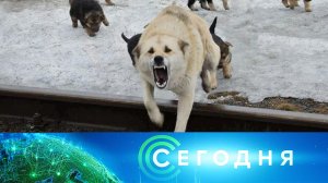 «Сегодня»: 8 октября 2025 года. 08:00 | Выпуск новостей | Новости НТВ