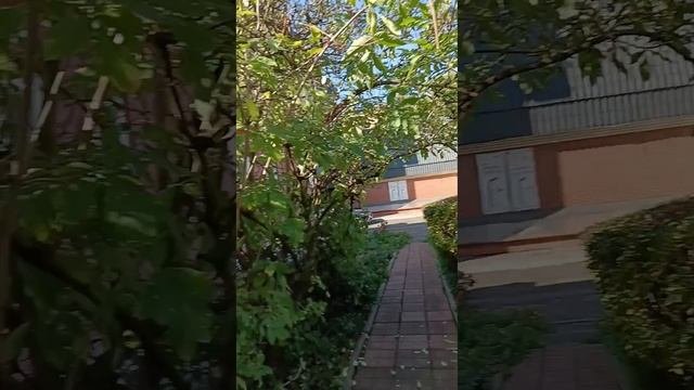 Рядом с генералом Ермоловым. Записки бывалого горожанина.