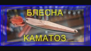 У ВАС ЕСТЬ БЛЕСНА КАМАТОЗ