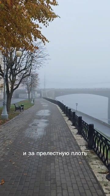 Россия г.Тверь 08.10.25 7:00АМ 9 Марина Цветаева  Ожиревшие домашние животные