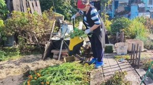 08-10-2025 будни в огороде