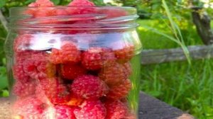 Малиновое варенье без сахара