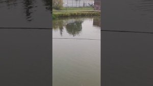 YouCut_20251008_101833507.mp4