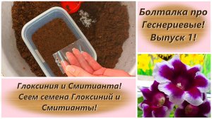 Болталка про Геснериевые! Выпуск 1! Глоксиния и Смитианта! Сеем семена Глоксиний и Смитианты!