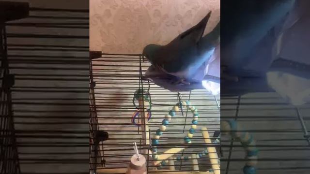 Кирюша себя сам развлекает