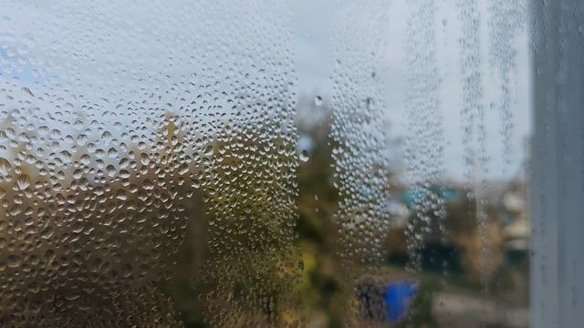 09-10-2025 смотрю из окна в деревне