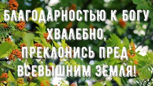 Аллилуйя Христу и осанна - минус мой 4