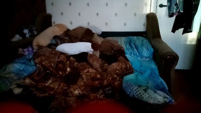 The Dog Is Left Alone When The Owner Goes To Her Grandmother(09.10.2025 October)