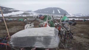 Жизнь в гармонии с природой на земле предков | Тут султам