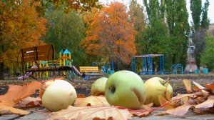 Какая осень за окном _ Краснодон, Суходольск ЛНР _