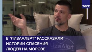 В "ЛизаАлерт" рассказали истории спасения людей на морозе