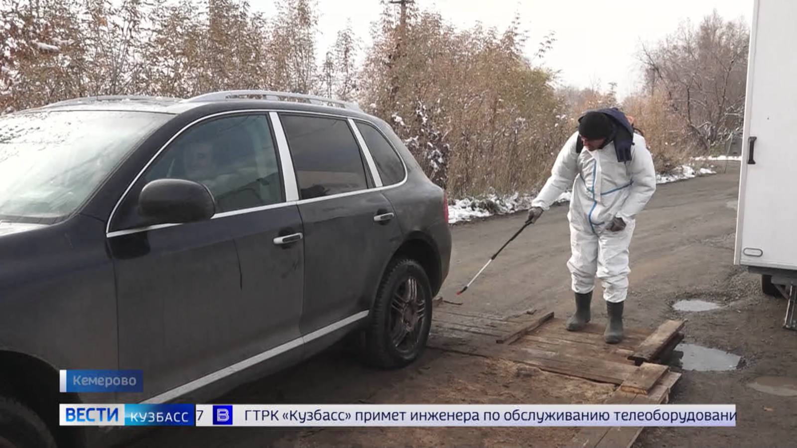 Карантин введён в Кемерове из-за заражённой свиньи
