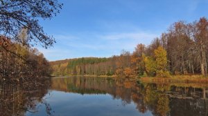 Я в осеннем лесу.