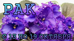 РАК таро прогноз на неделю с 13 по 19 ОКТЯБРЯ 2025 года.