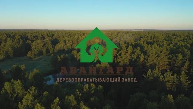 Деревообрабатывающий комбинат Авангард