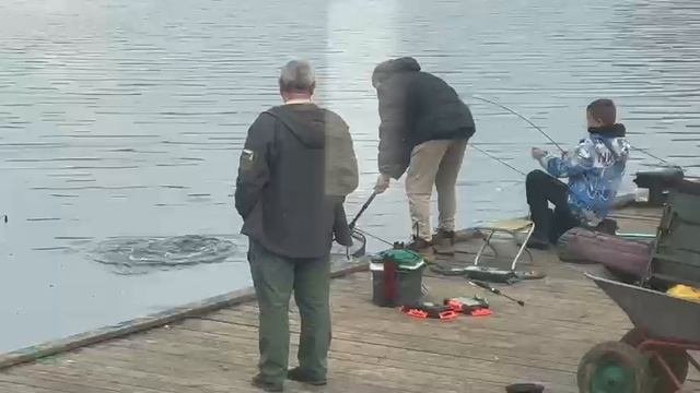Video5420123829903065896