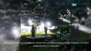 Владимирские клумбы снова обворовывают