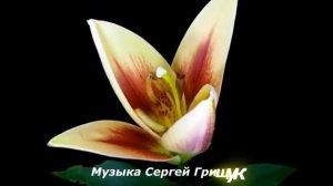 Музыка Для Души ⧸ГДЕ- ТО ЛЕТОМ⧸ Музыка Сергей Грищук #МУЗЫКА #КРАСИВАЯМУЗЫКА