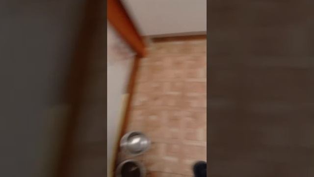 я погрел себе Я яду