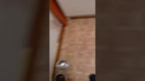 я погрел себе Я яду