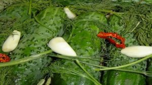 Малосольные огурцы быстрого приготовления в холодной воде