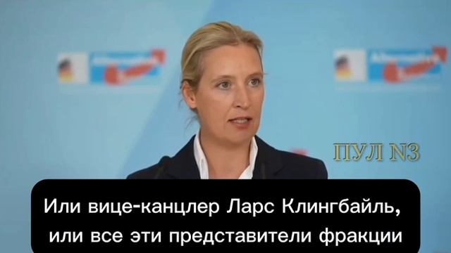 Пусть Мерц служит в ВСУ  лидер АдГ Вайдель.