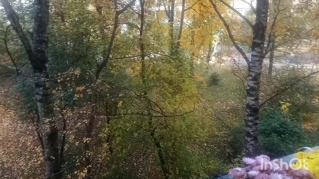 осень
