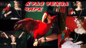 Фильм 🐒🎪🦜" Куда уехал цирк" 🦜🐕🐨от журнала Modelle