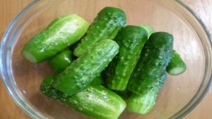 Малосольные огурчики быстрого приготовления