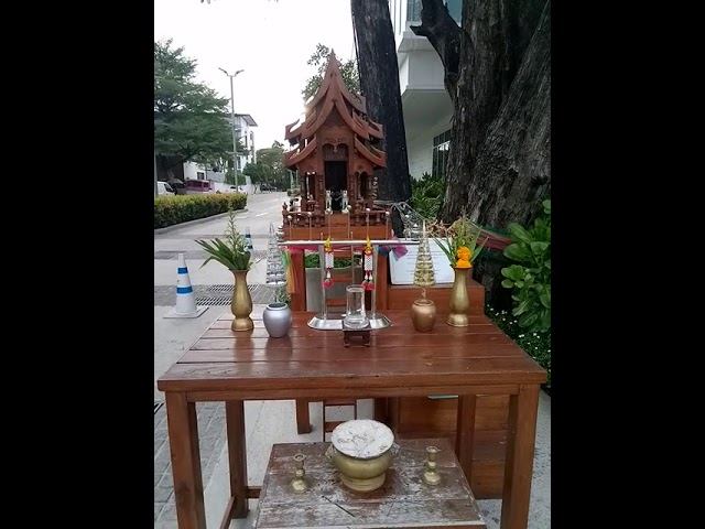 дошла до трц