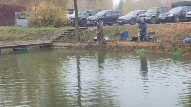 WhatsApp Video 2025-10-09 At 09.55.49