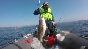 РЫБАЛКА В ТУМАНЕ , ТРЕСКА НА 14.70 КГ , КАМБАЛА . 10.04.25. НАХОДКА.🔥🐟🏅
